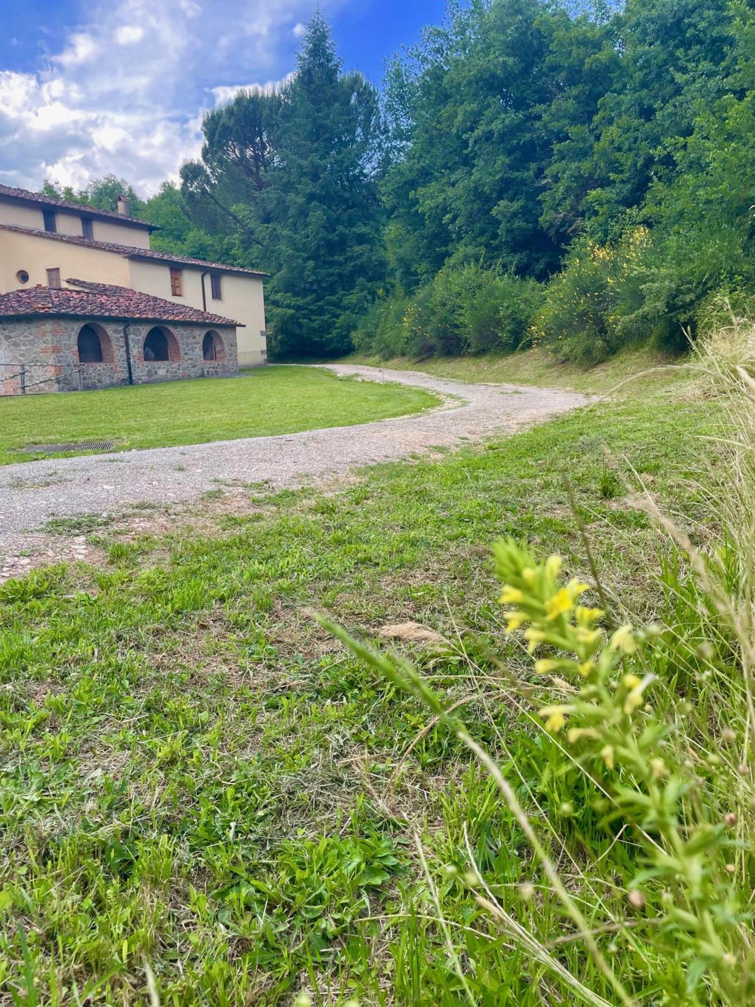 Gioconda casa vacanze Villa Montevarchi Exterior foto